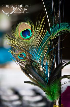 peacock feathers wedding winston salem photography nc
